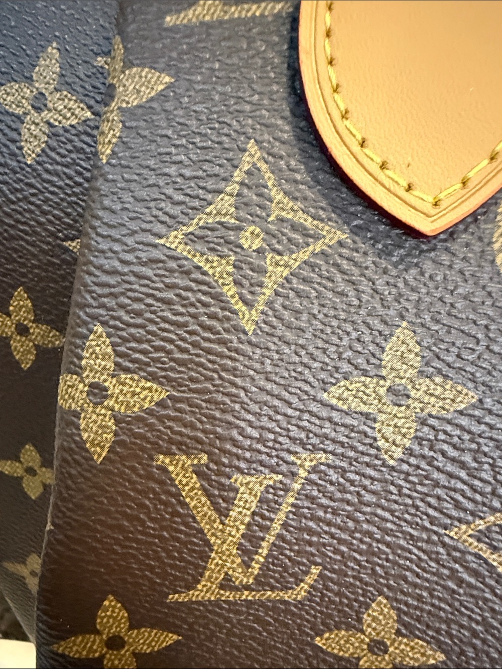 LV Terrene Monogram Canvas Tote with Vachetta Trim - Picture 4 of 15